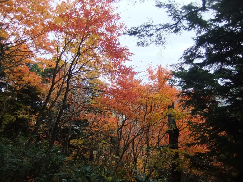 Shiga Park Hotel Yamanouchi  Extérieur photo