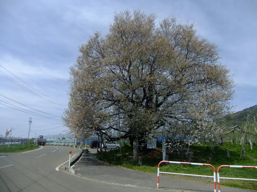 Shiga Park Hotel Yamanouchi  Extérieur photo